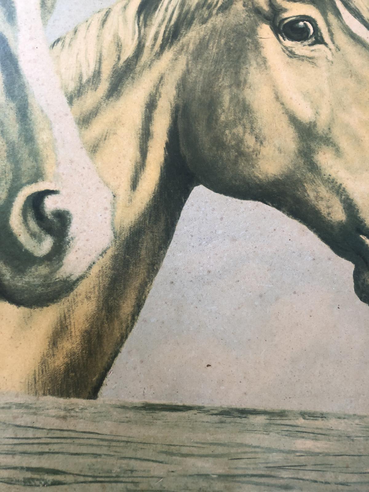 Vintage print of horses at fence. J Davie