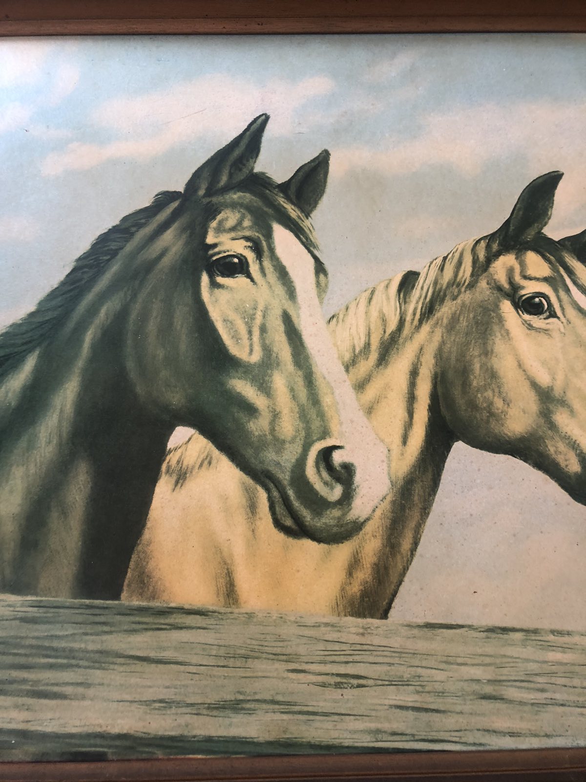 Vintage print of horses at fence. J Davie