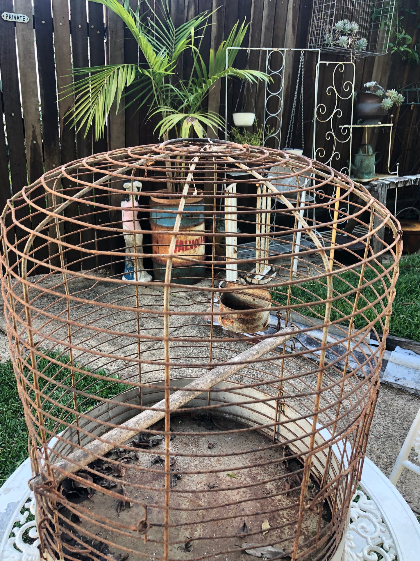 Antique bird cage garden